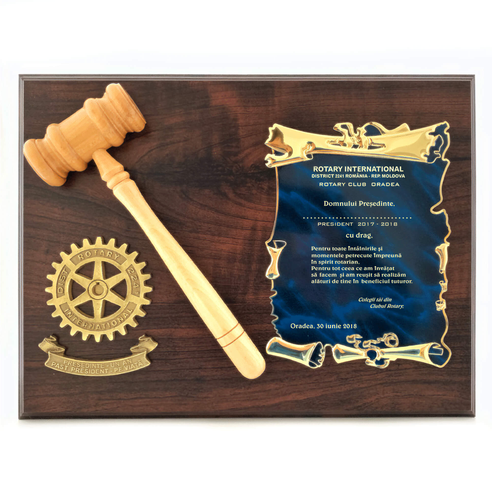 Distinctii si Trofee Rotary